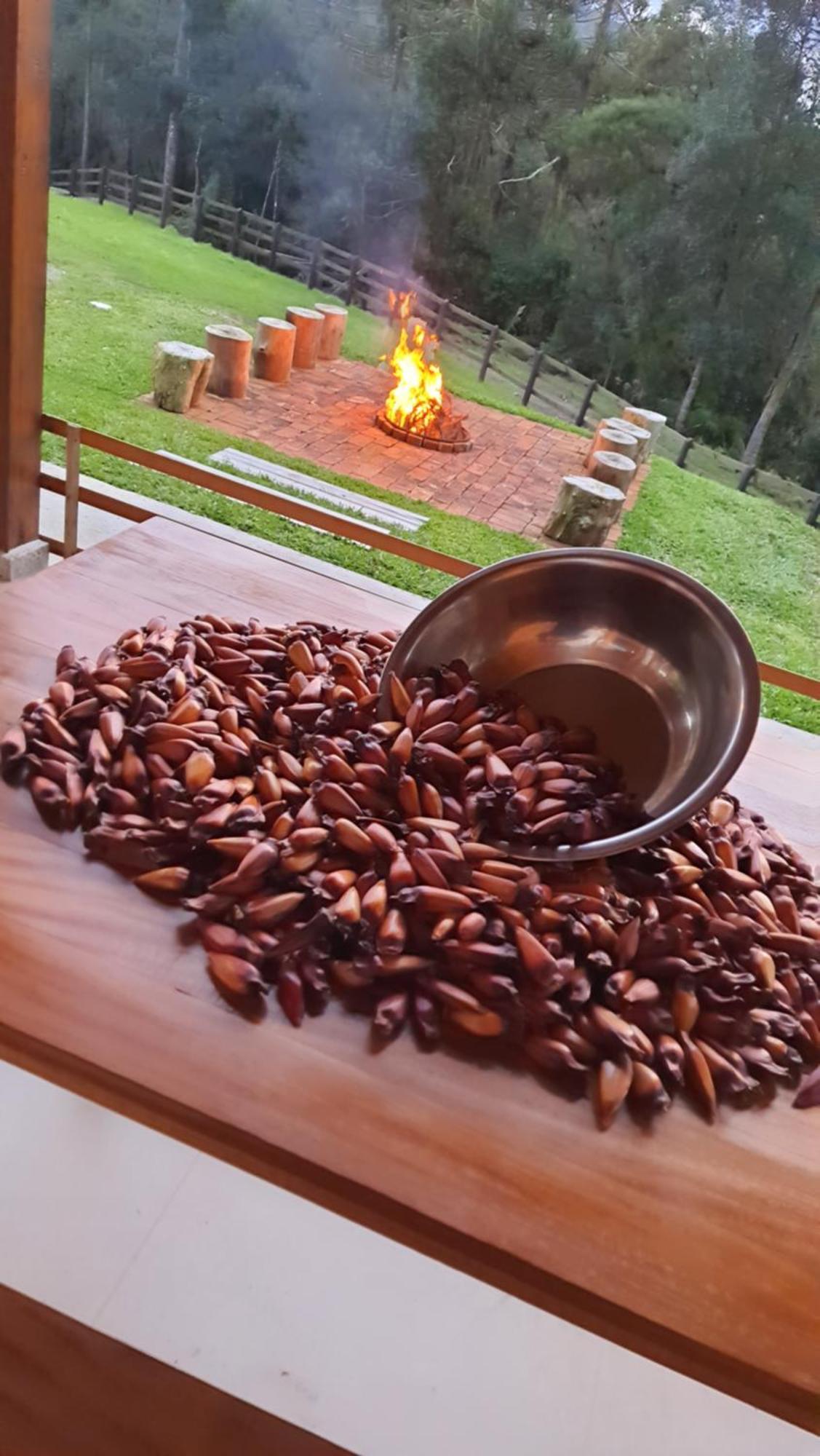Casa De Campo Quinta Do Vale - Familia Urubici Dış mekan fotoğraf