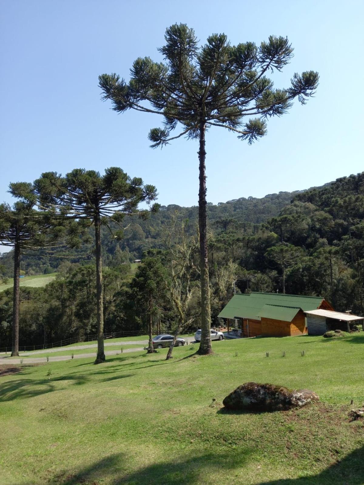 Casa De Campo Quinta Do Vale - Familia Urubici Dış mekan fotoğraf