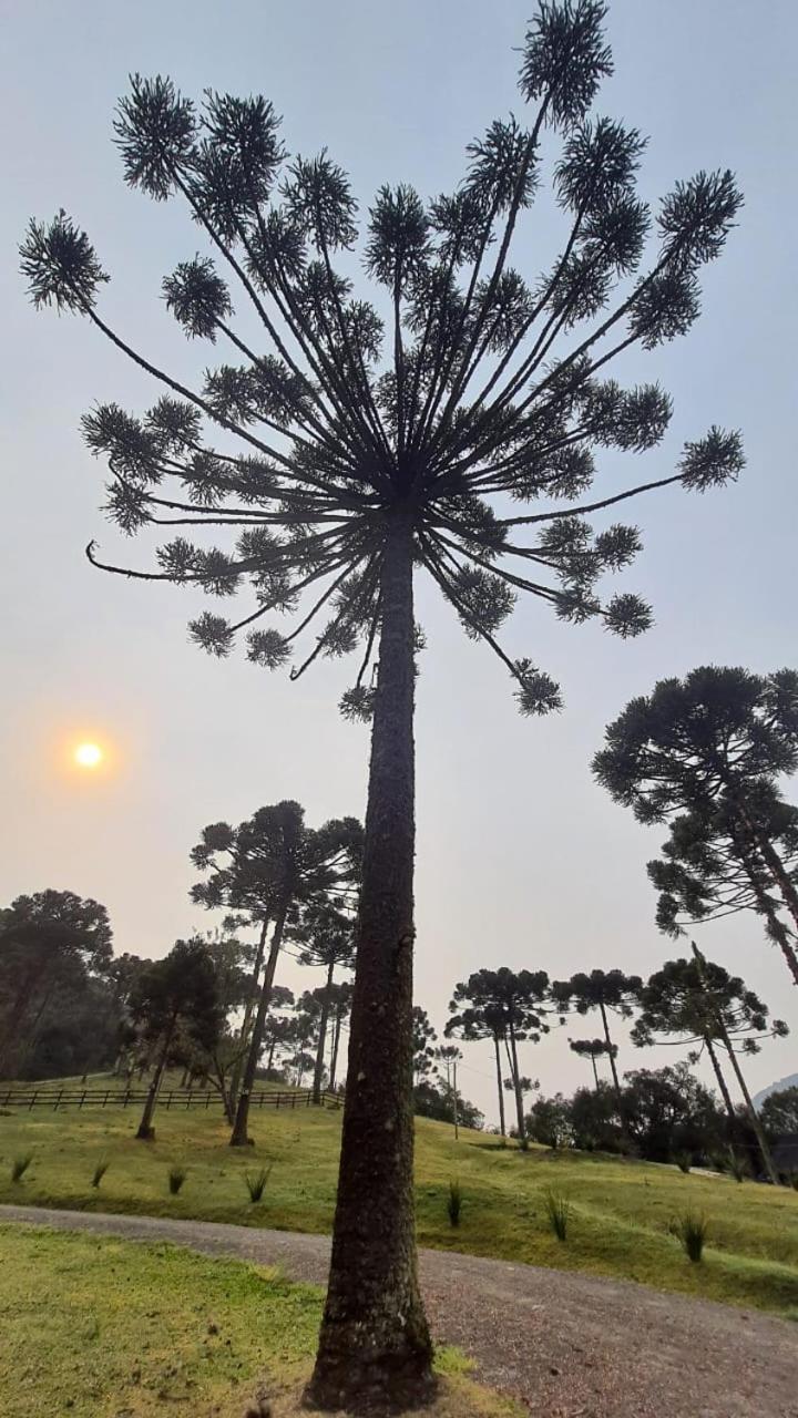 Casa De Campo Quinta Do Vale - Familia Urubici Dış mekan fotoğraf